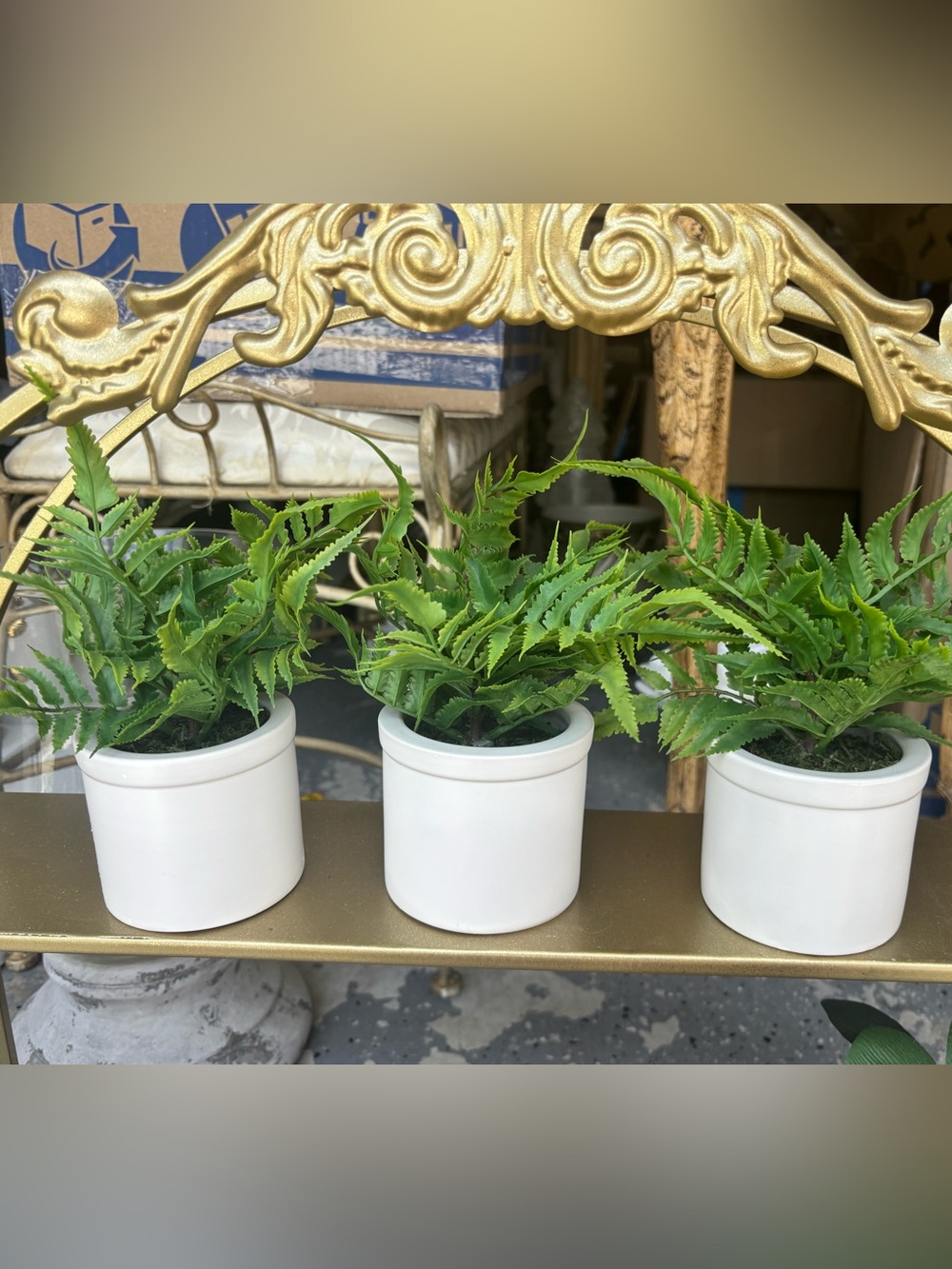 Threshold Green Faux Fern in White Pot - Set of 3 pieces
